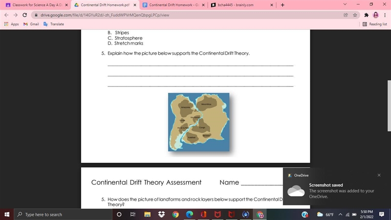 Explain how the picture below supports the Continental Drift Theory.-example-1