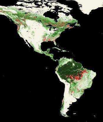 Suppose that deforestation continues to increase as the human population increases-example-1