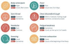 Whats weak immune syestem-example-1