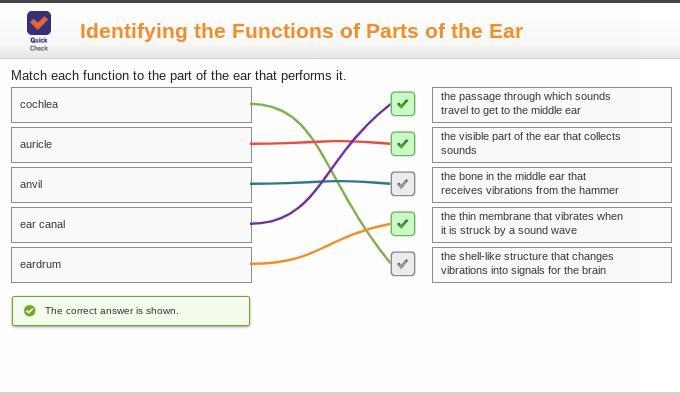 Match each function to the part of the ear that performs it auricle anvil eardrum-example-1