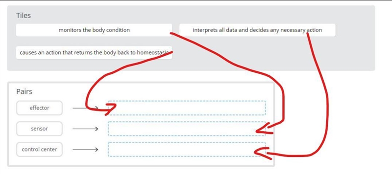 Drag the tiles to the boxes to form correct pairs. Match each step in homeostasis-example-1