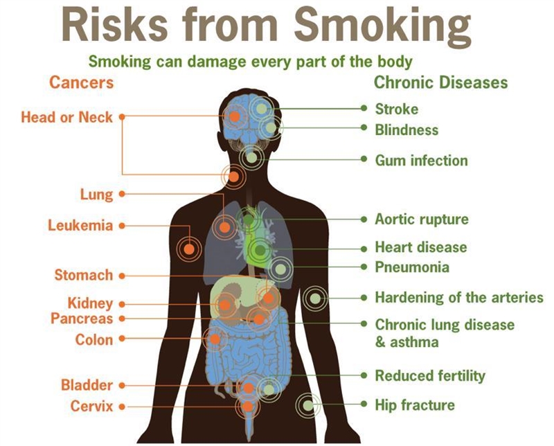 How would you explain the impact of smoking to a family member or a friend?​-example-1