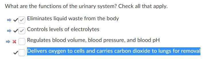 What are the functions of the urinary system? Check all that apply. Question 4 options-example-1