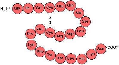 Which of the following contain protein-example-2