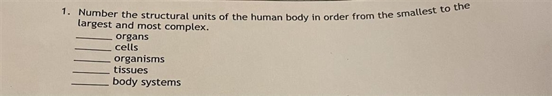 Help with this question-example-1