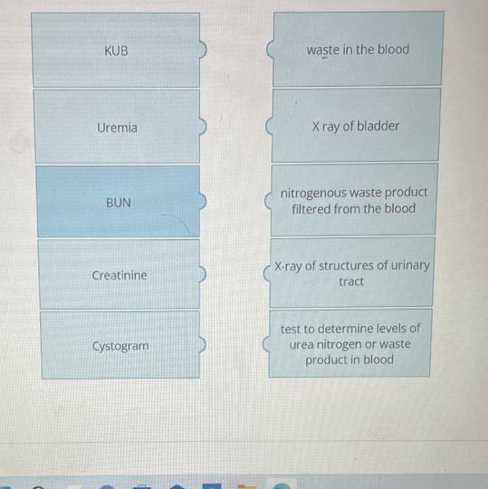 Match the term with the correct description.-example-1