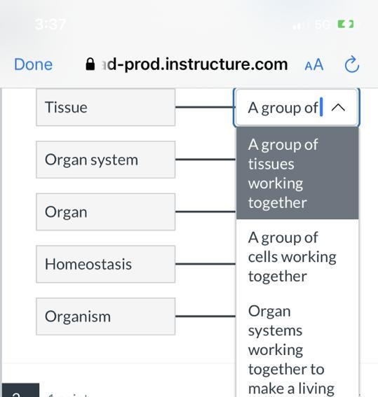 Please help me please-example-1