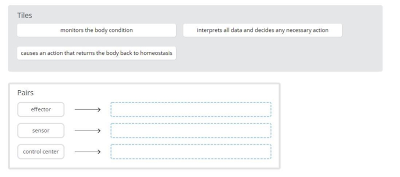 Drag the tiles to the boxes to form correct pairs. Match each step in homeostasis-example-1
