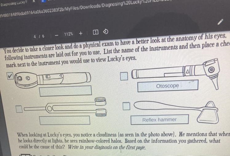 Help What are those instruments on the left called-example-1