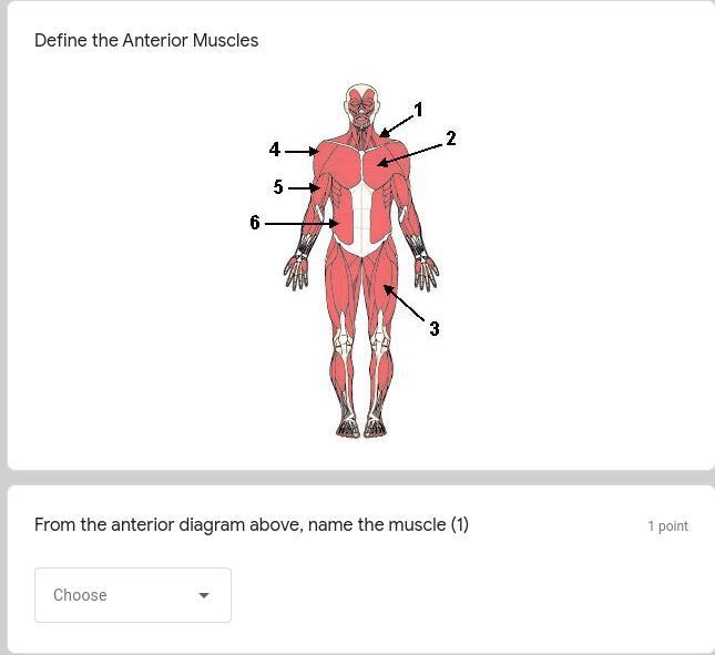 CAN someone help pls? i need help this test is due tomorrow Name the muscle (1) Put-example-1