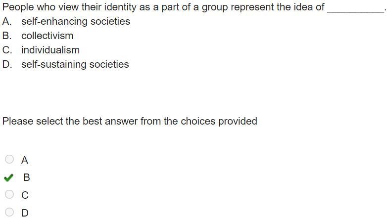 People who view their identity as a part of a group represent the idea of __________. A-example-1