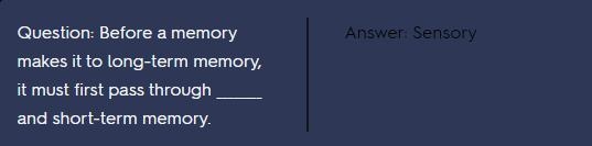 Before a memory makes it to long-term memory, it must first pass through ________ and-example-1