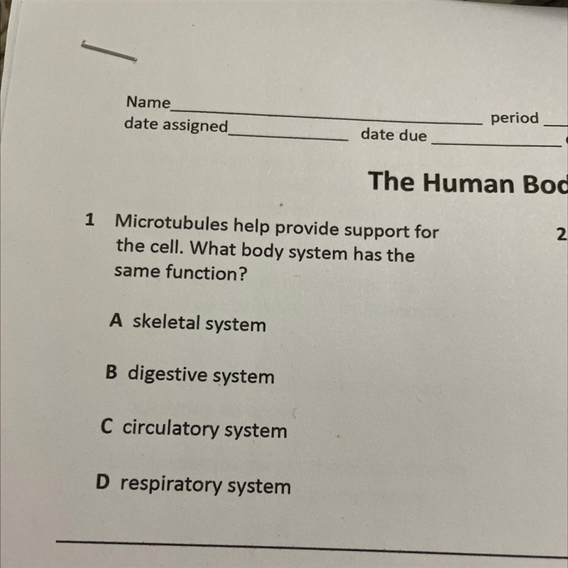 Human Body Question-example-1