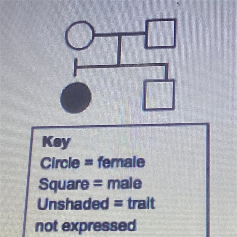 Study the diagram above. It represents four people: two parents and their two children-example-1