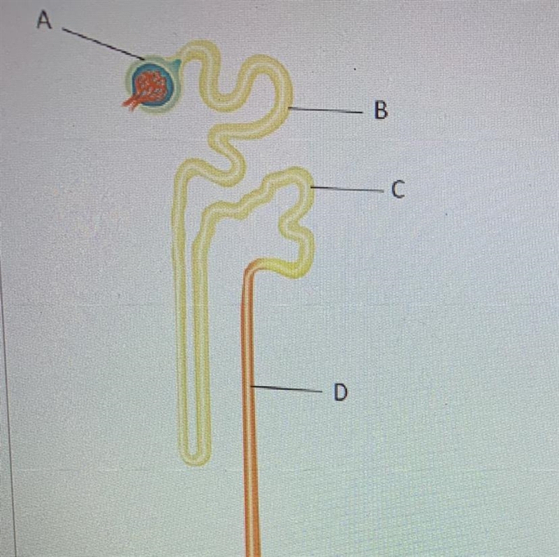 Please help!! And possibly with an explanation, please!! The image above shows one-example-1