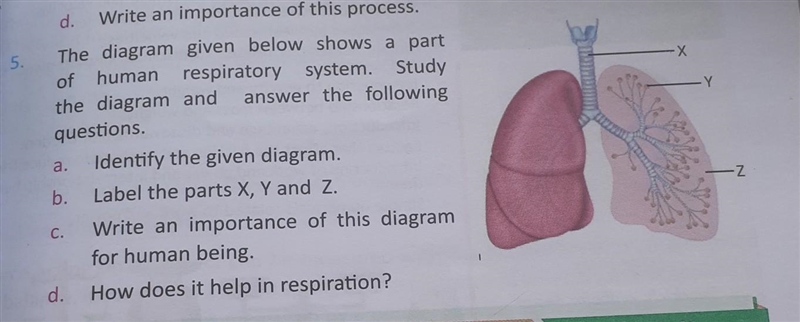 Hello! Need help again Science​-example-1