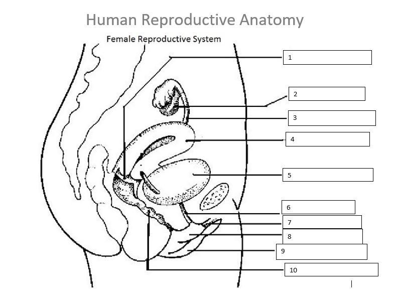 I've never been with women so can someone please help me name all 10 parts of the-example-1