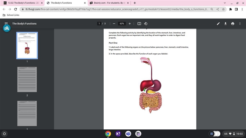 Part One 1. Label each of the following organs on the picture below: pancreas, liver-example-1