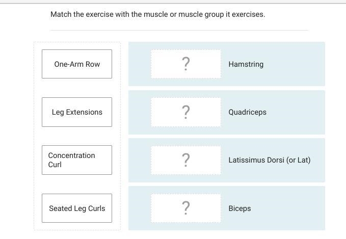 Match the exercise with the muscle or muscle group it exercises.-example-1