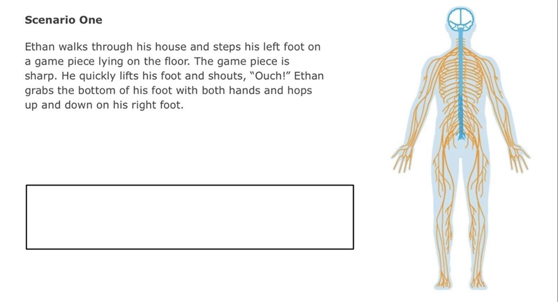 read the scenario and draw arrows to label where the input and output is for each-example-1