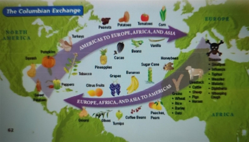 34. Which of the following is NOT a result of the Columbian Exchange? A. Cultural-example-1