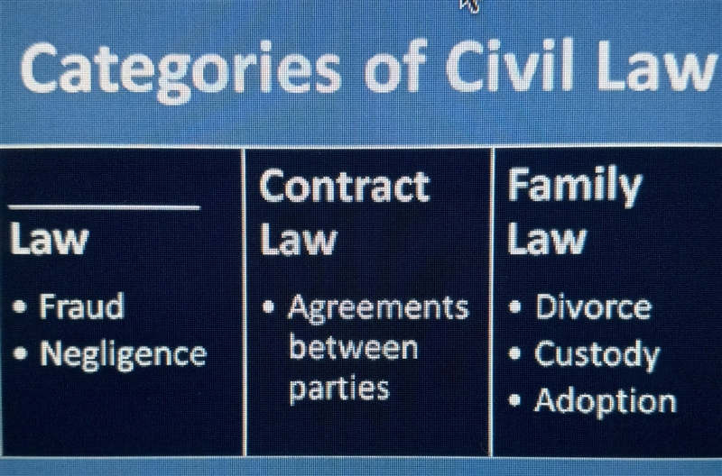 Which of the following best completes the graphic organizer above? A. tort, B. homicide-example-1