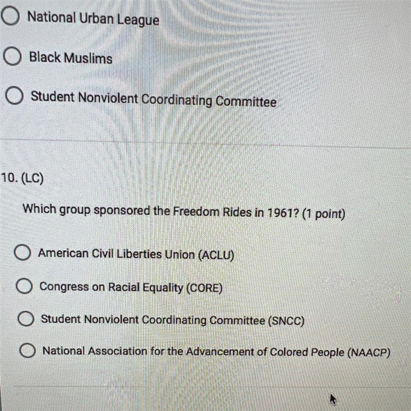 Which group sponsored the freedom rides in 1961?-example-1