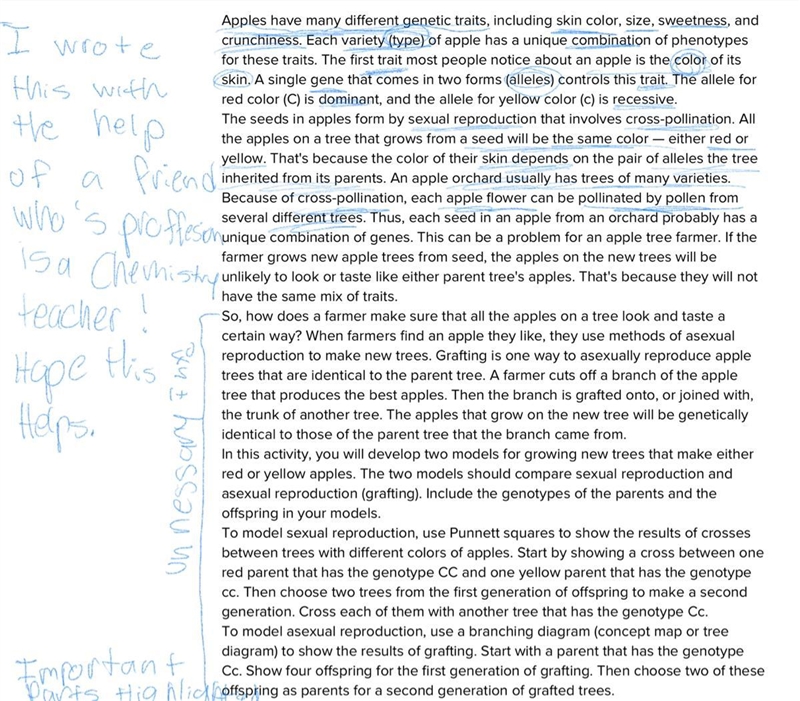 Finally, write two short paragraphs: one under the Punnett squares and another under-example-1