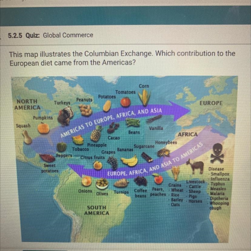 This map illustrates the Colombian exchange. Which contributed to the European diet-example-1