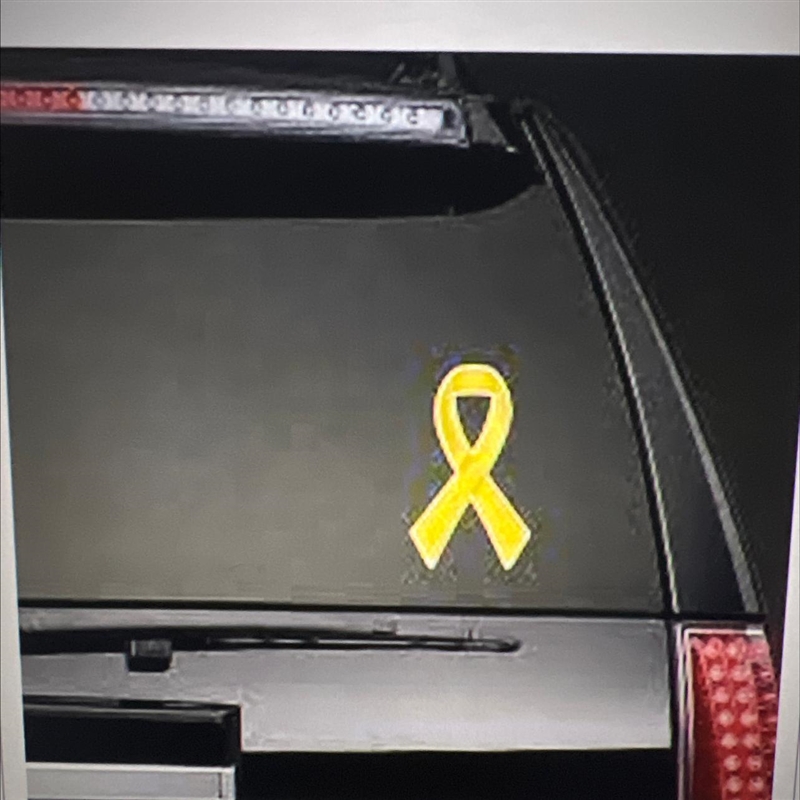 Have you seen a car with this sticker on it before? What does it mean? Why would someone-example-1