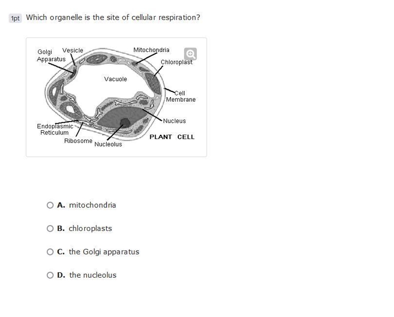 Can somone help me pls-example-1