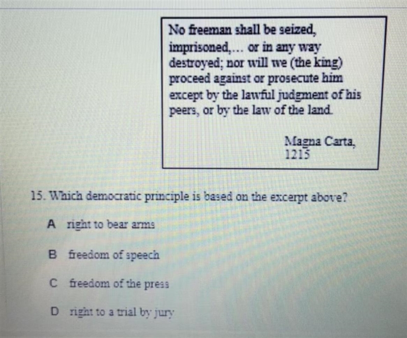 Which democratic principle is based on the excerpt above? A right to bear arms B freedom-example-1