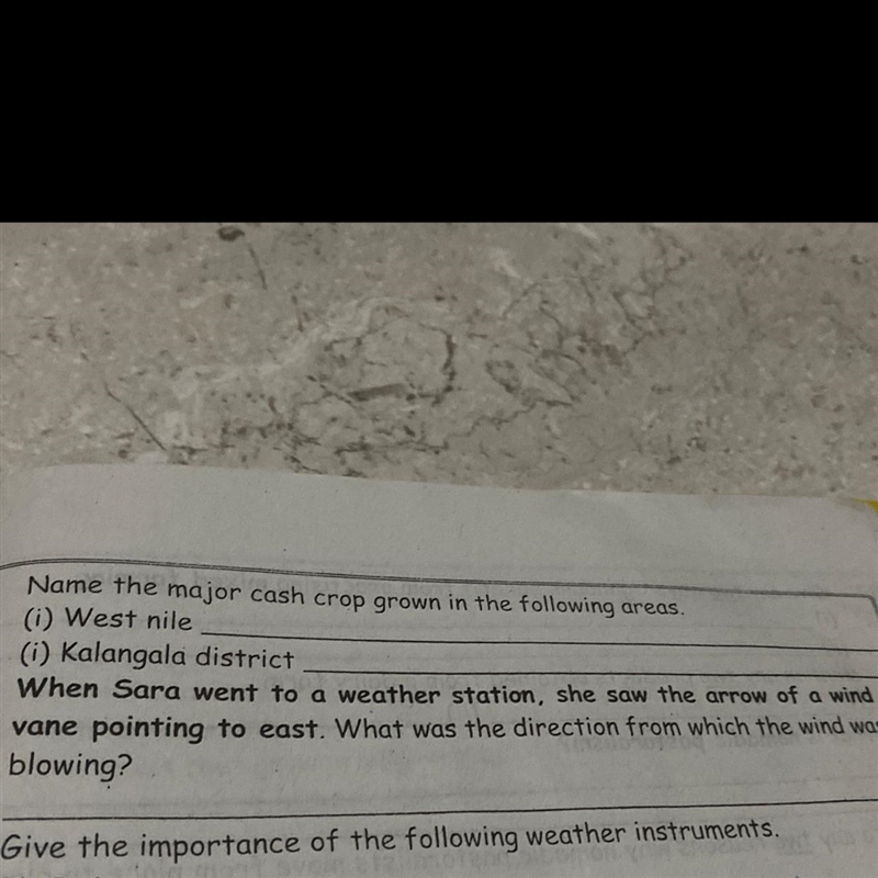 Name the major cash crop grown in the Kalangala district-example-1