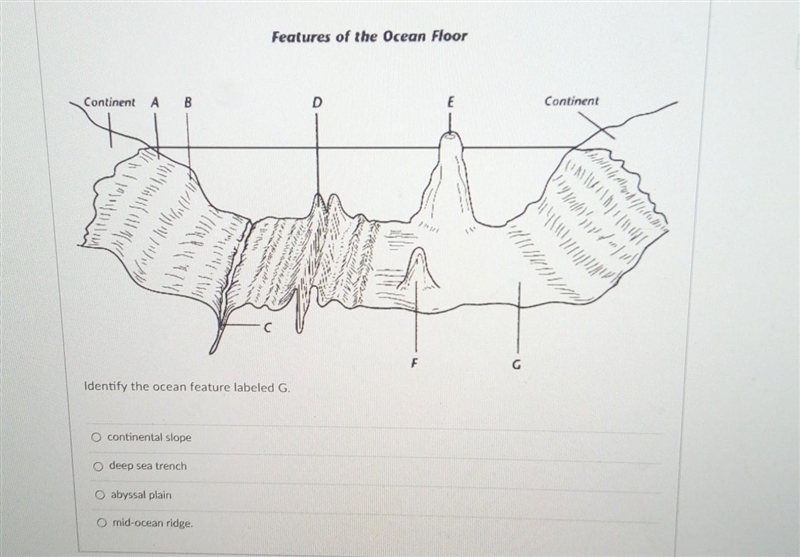 Identify the ocean feature labeled g. no links please. ​-example-1