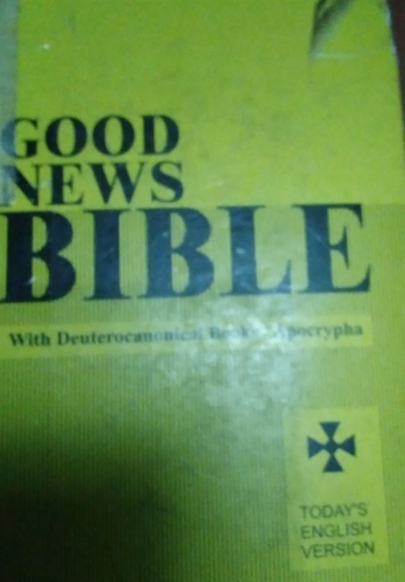 heyy does can anyone take a pic of a bible they have at home, like with bad lighting-example-1