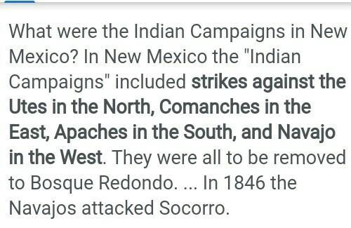 What were the Indian Campaigns in New Mexico?-example-1