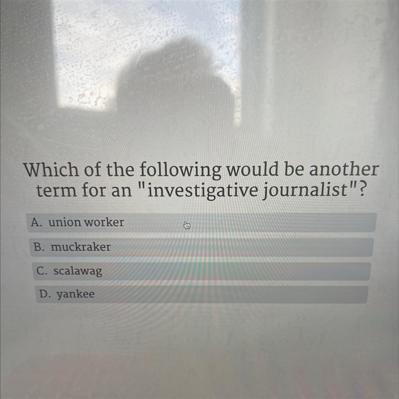 Which of the following would be another term for an "investigative journalist-example-1