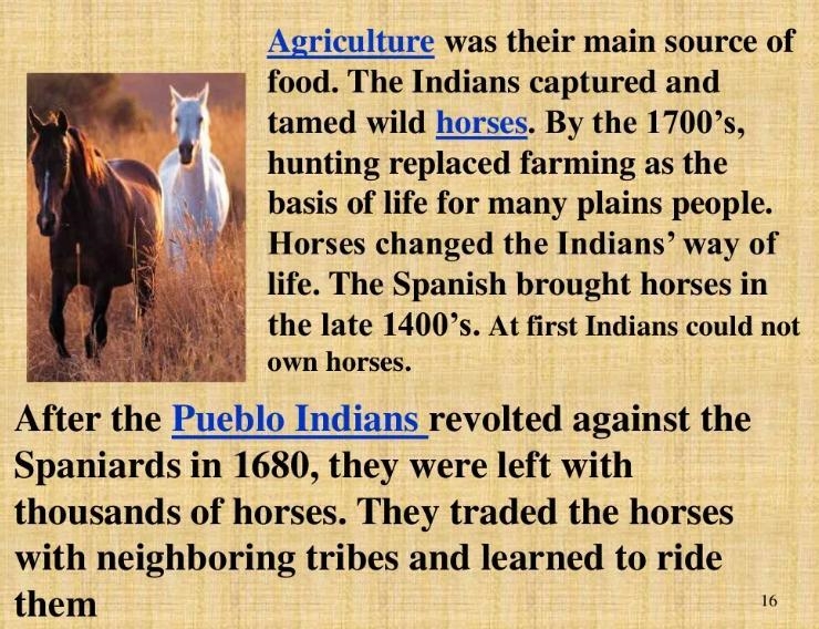 The text states that “Plains Indians had rich and varied cultures.” Which details-example-2