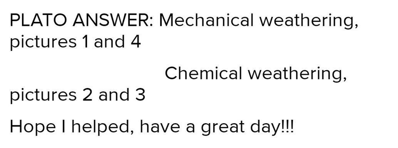 Help please. i give 99 points-example-1