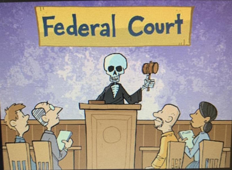 What comment is the cartoonist making about the term of federal court judges?-example-1