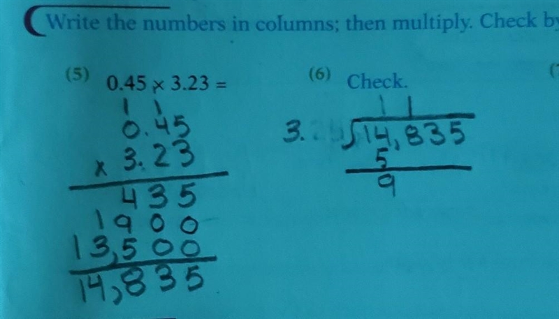 Does anyone know how to divide with decimals?? what to i put on the outside??-example-1