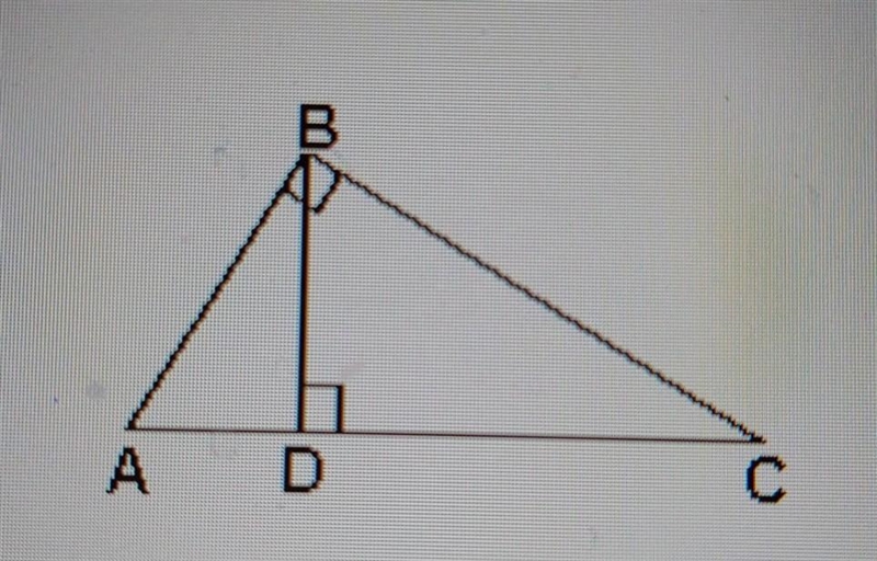 Side AB in Triangle ABD corresponds to which side of triangle ABC-example-1