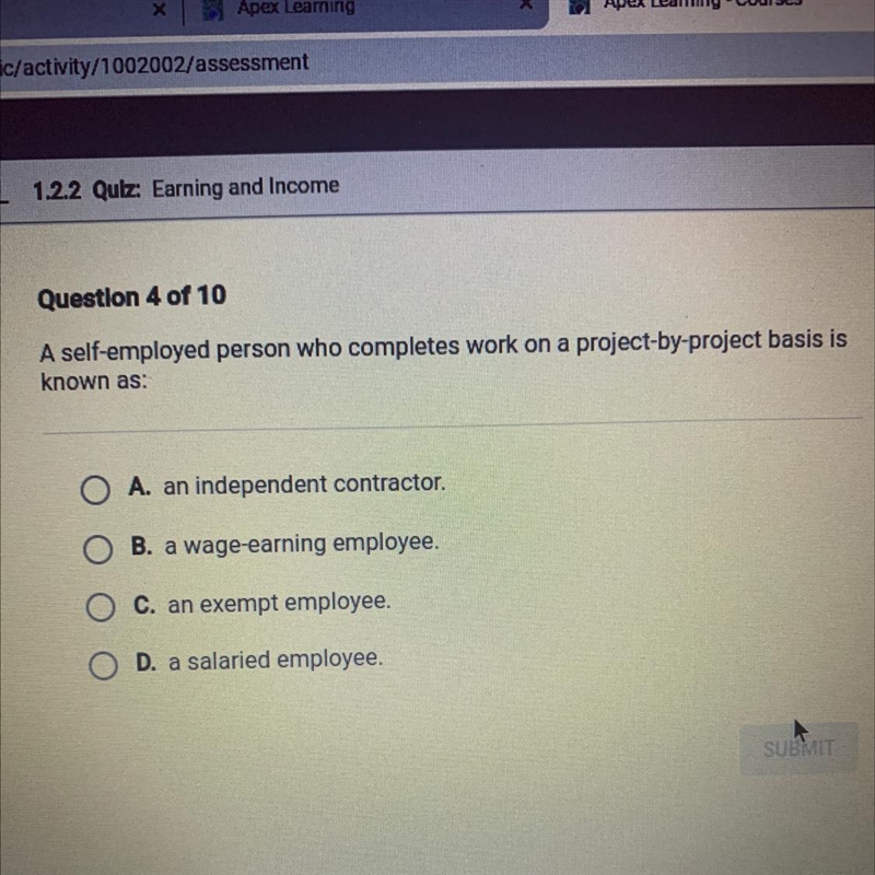 A self-employed person who completes work on a project-by-project basis is known as-example-1