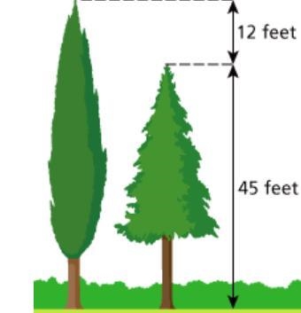 Mary compares the heights of two trees. Their heights are shown. Write and solve an-example-1