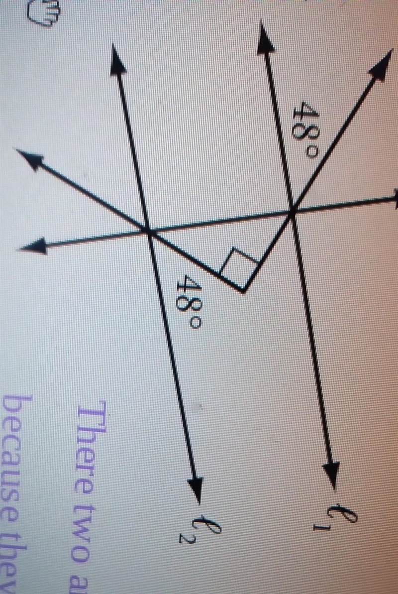 I have a quick question. If the angles both have 48 degrees on both lines would you-example-1