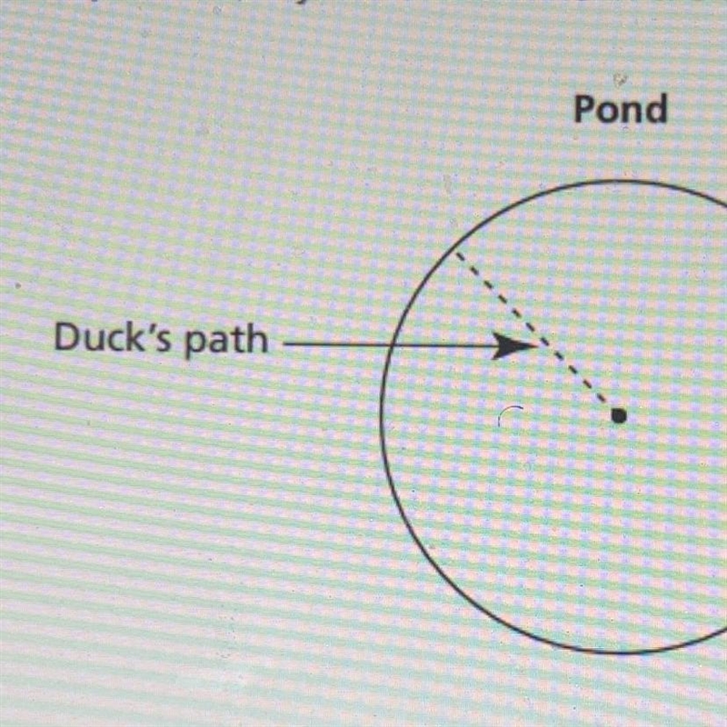 A duck swims from the edge of a circular pond to a fountain in the center of the pond-example-1