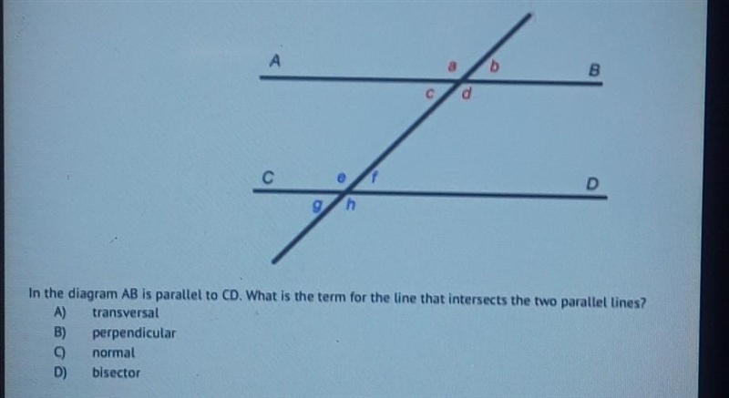 In the diagram AB is parallel to CD. What is the term for the line that intersects-example-1