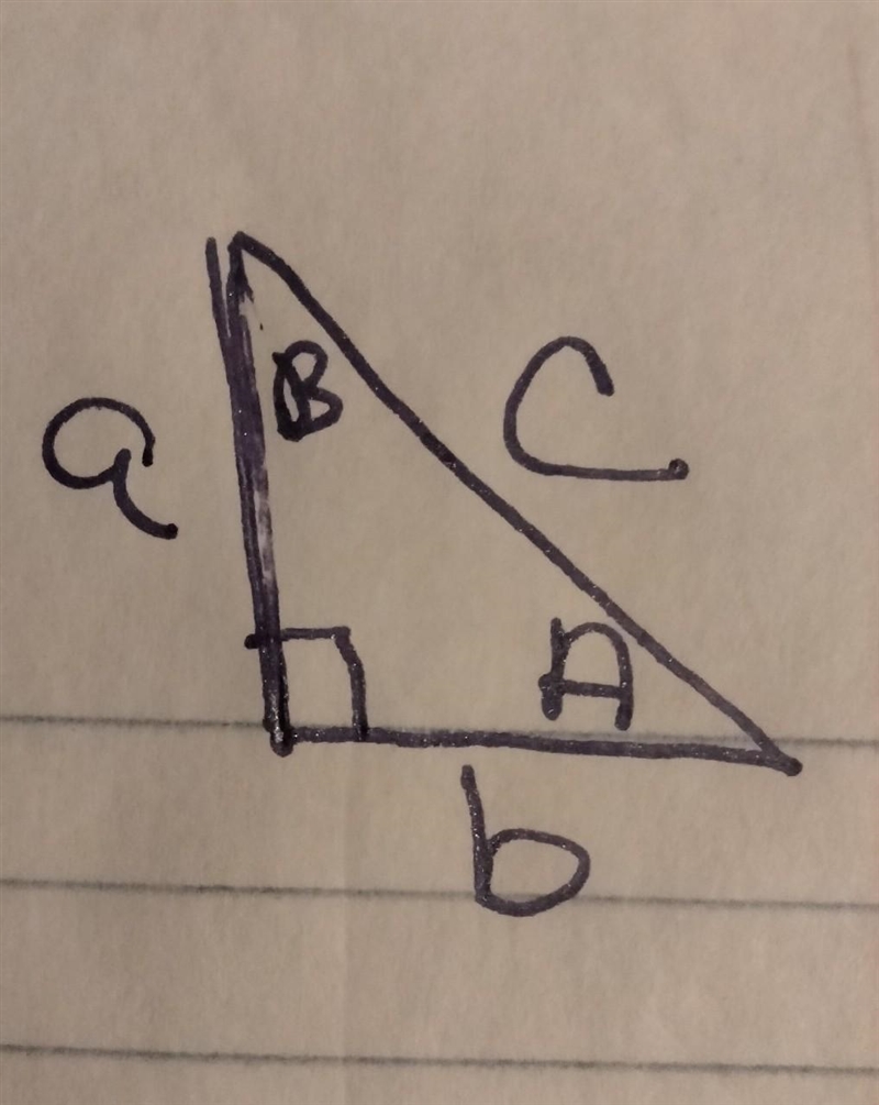 NO LINKS!!! Please help me with this trig problem. Use the diagram. Part 2 4. b= 4 c-example-1