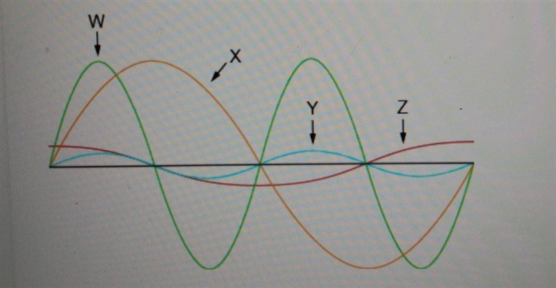 Which two waves have the same amplitude? Z and X W and Y W and X Y and X​-example-1