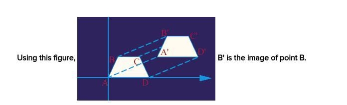 Using this figure, B' is the image of point B. True False-example-1